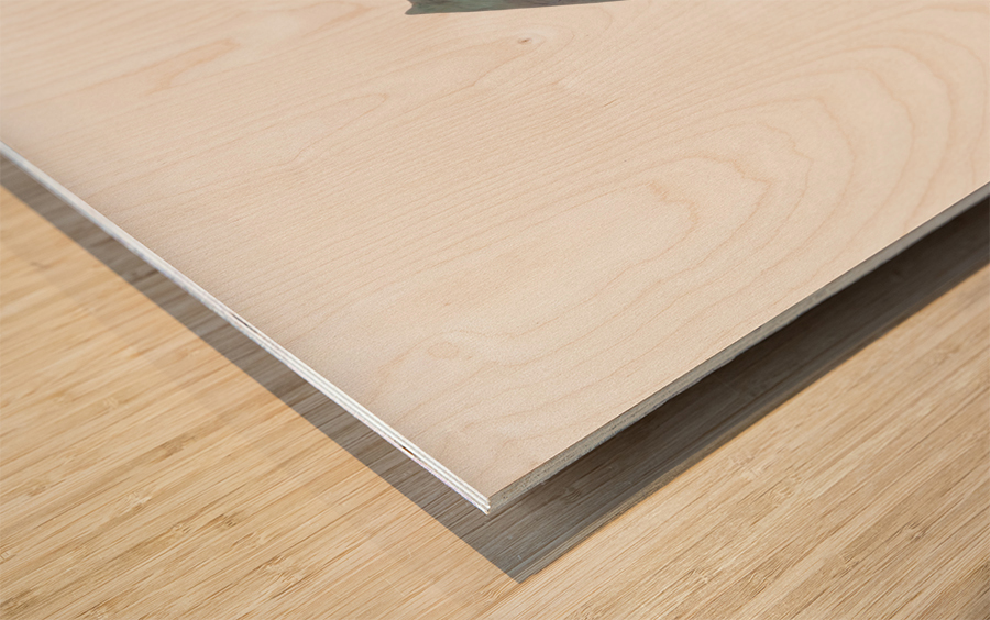 Horsehead Sculpture 2 Wood print