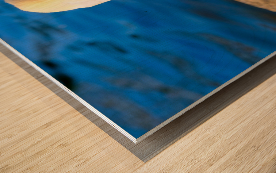 Swan Face 3 Wood print