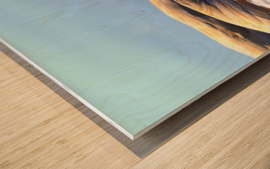 Duck Face 1B Wood print