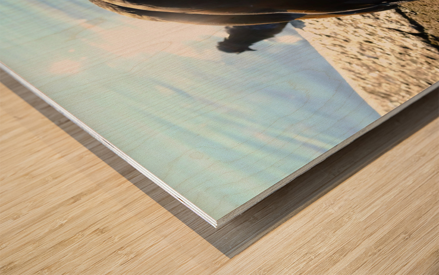  Step Off the Deep End Wood print