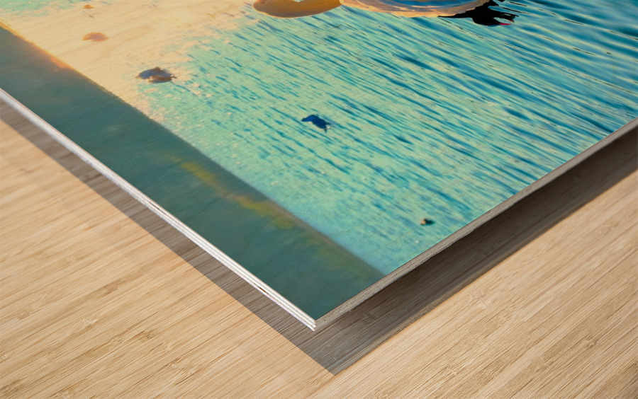 Luminous Voyage Wood print