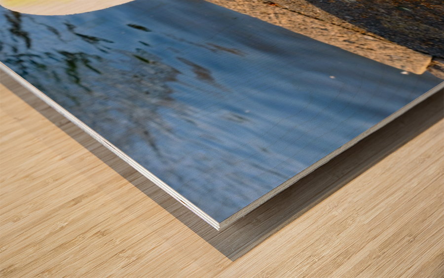 Lake’s Guardian Wood print