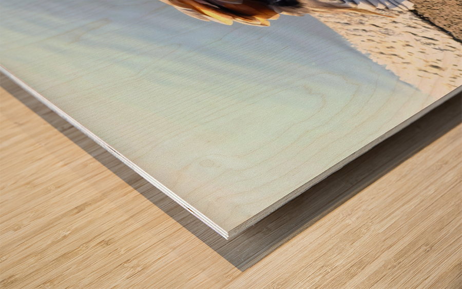 Graceful Pause Wood print