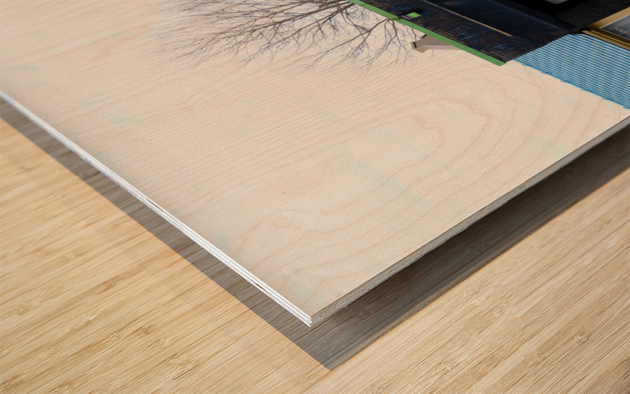 “CBD & Concrete” – Raw Real and Rooted Wood print