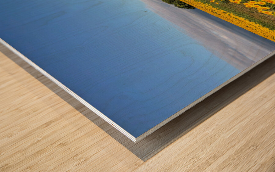 A Sea of Golden Dreams Wood print