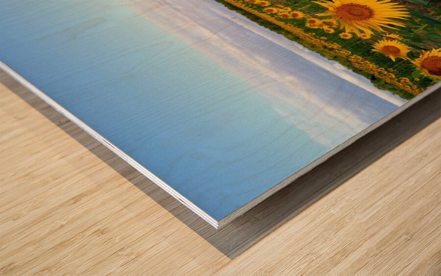 The Heart of Summer  Wood print