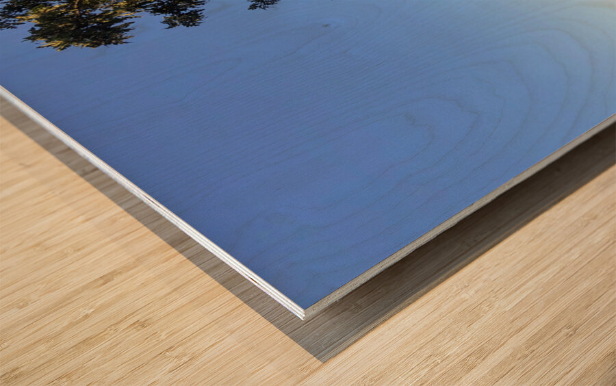 Nature’s Window to the City Wood print