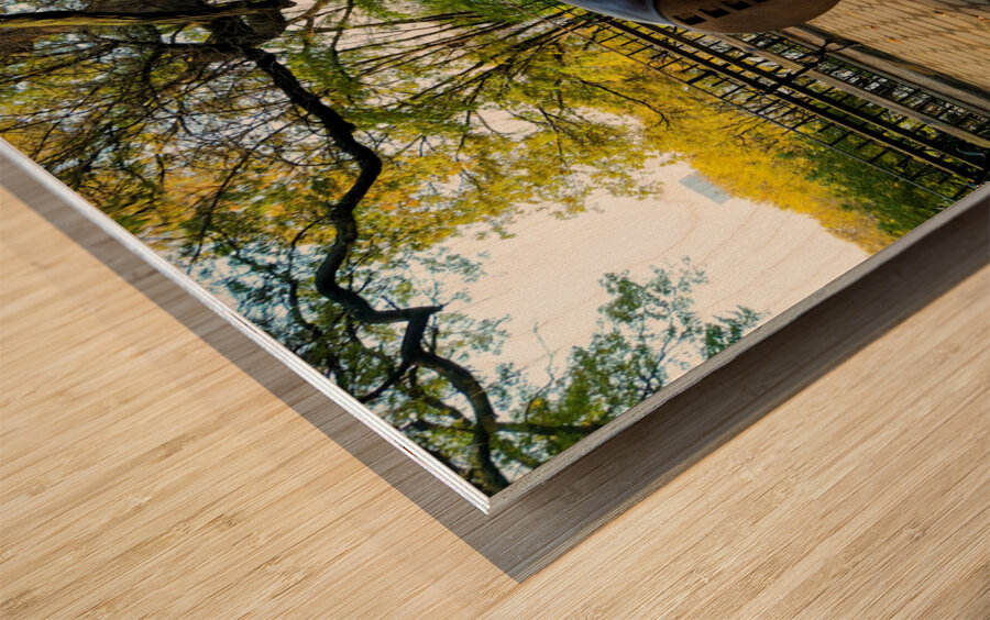 Parkside Cannon Wood print