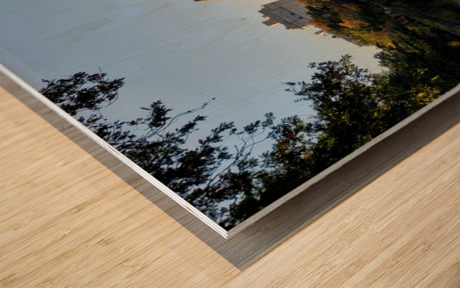 Central Park Reservoir Reflections Wood print